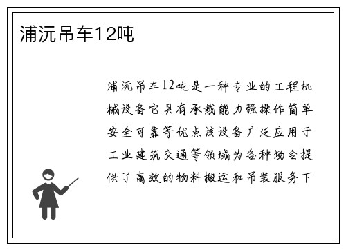 浦沅吊车12吨